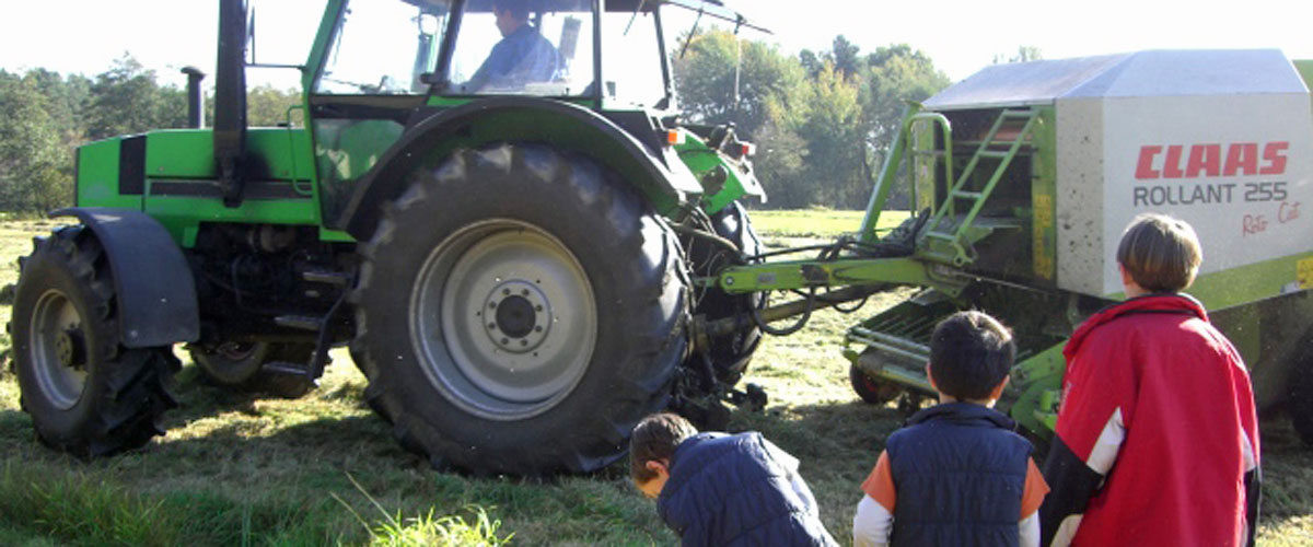 silage1