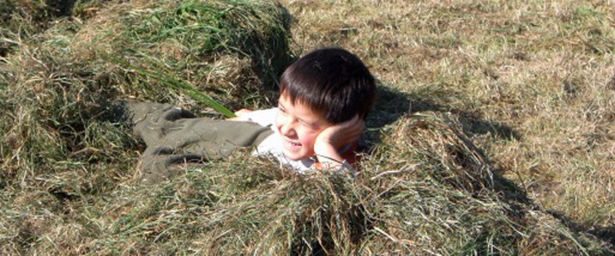 silage2