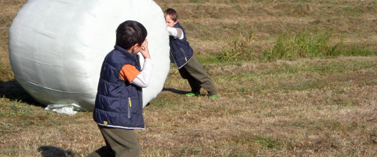 silage3