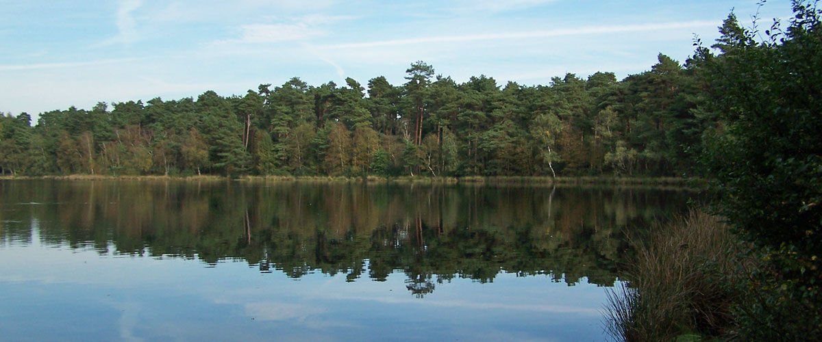 bullensee